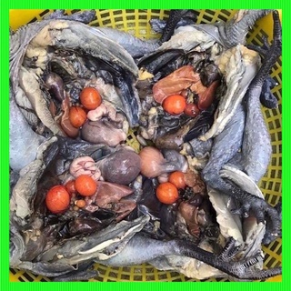 GÀ ÁC NGUYÊN CON (con tầm 6- 800gr)