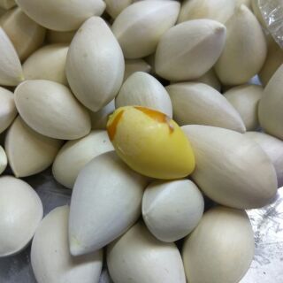 Bạch quả 1kg