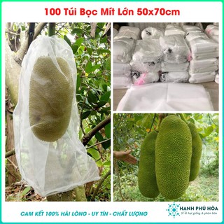 100 Túi Vải Lưới Bọc Mít 50x70cm Siêu Bền -Chống Ruồi, Chim, Côn Trùng Hút Chích, Chịu Nắng Mưa Quanh Năm