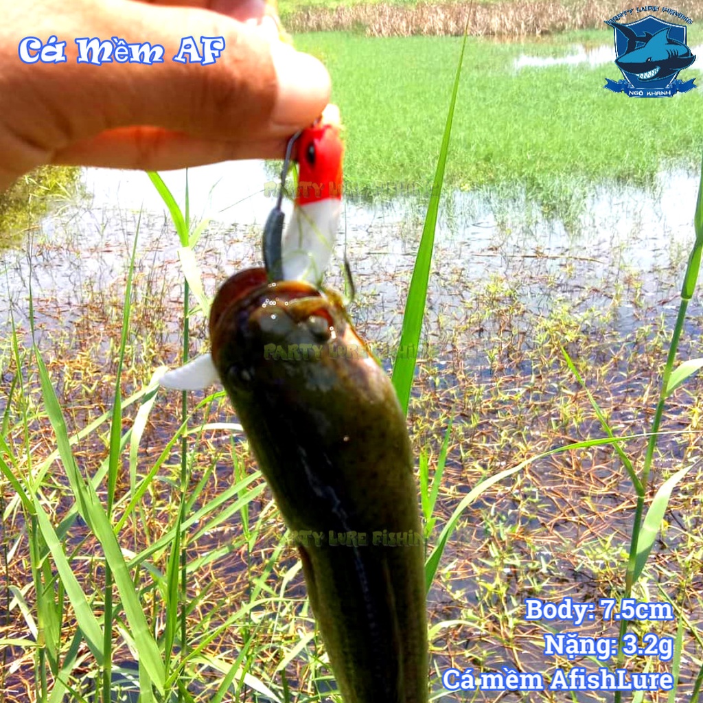 Cá mềm AF mồi câu lóc chẽm , mồi lure cá lóc chẽm