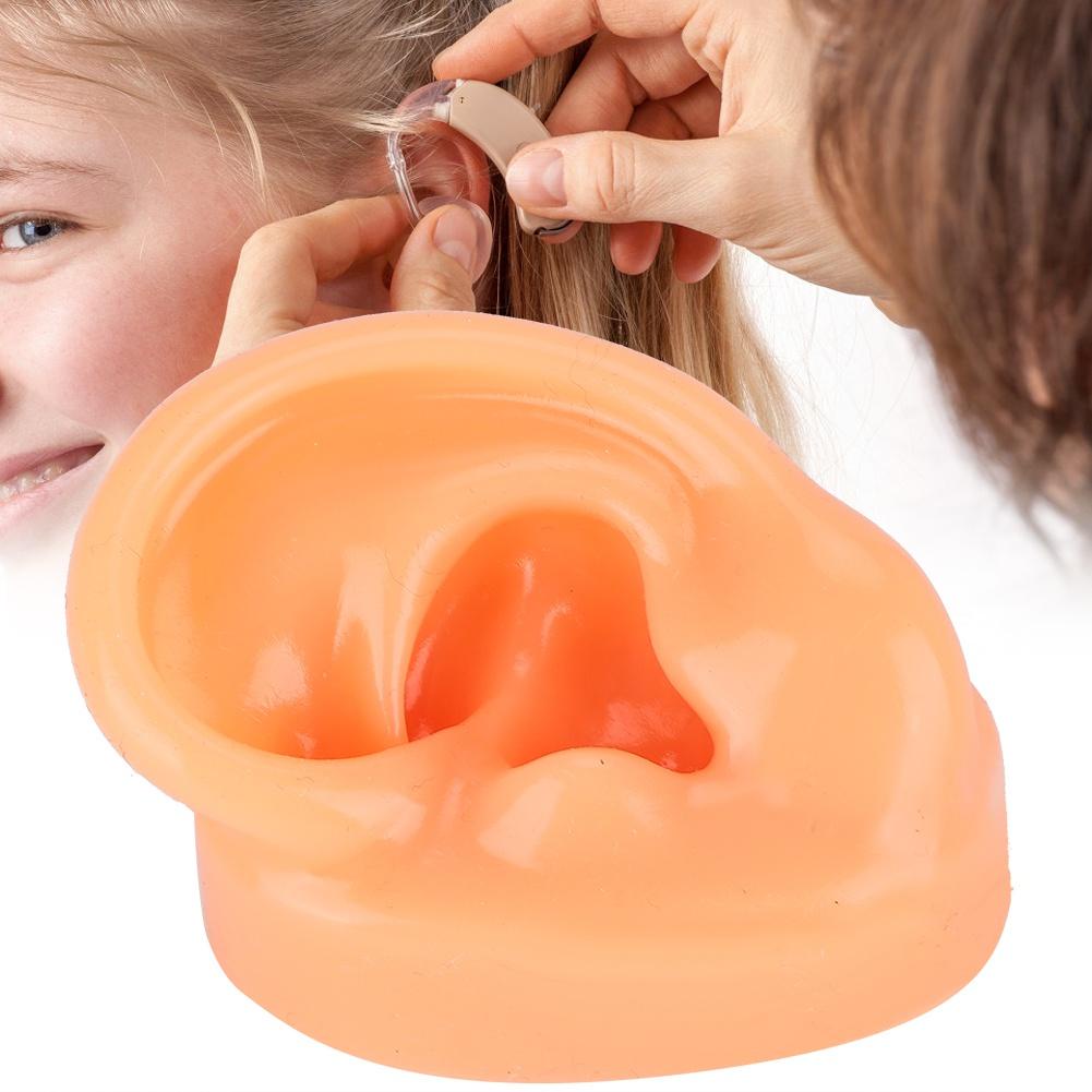 Mô Hình Trưng Bày Khuyên Tai Người Bằng Silicone Tái Sử Dụng Được 1: 1