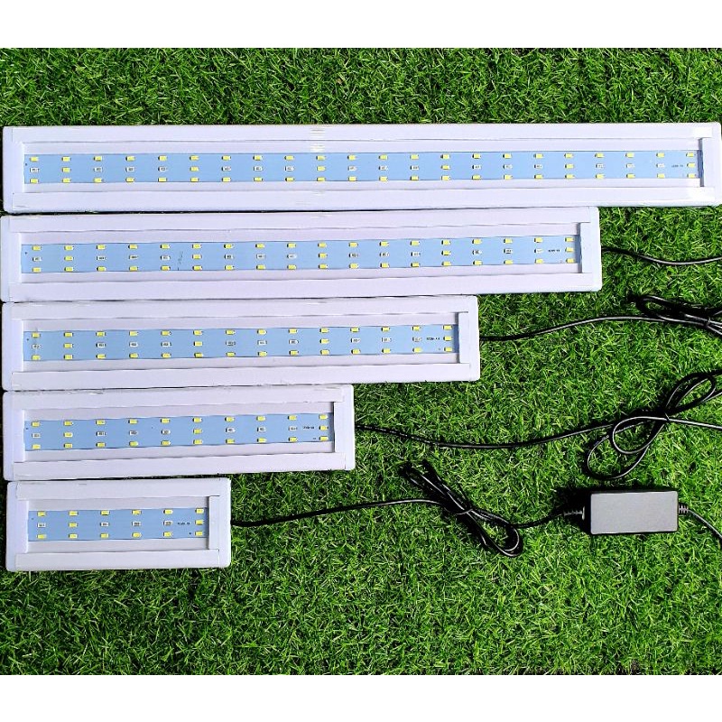 Đèn LED AQUARIUM Gác Thành Bể Cá Cảnh, Bể Thủy Sinh có 3 chế độ màu 20cm.30cm, 40cm 50cm 60cm 80cm giá cực rẻ