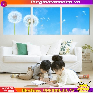 Bộ 3 Tranh Q16-55
