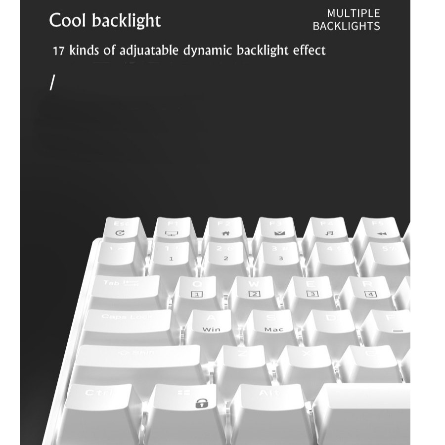 Royal Kludge RK860 - Bàn phím cơ bluetooth không dây mini Royal Kludge RK100 Led đơn sắc 100 Phím kết nối 3 chế độ | BigBuy360 - bigbuy360.vn