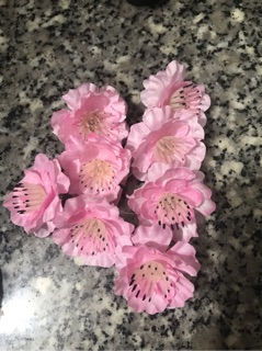 HOA ANH ĐÀO