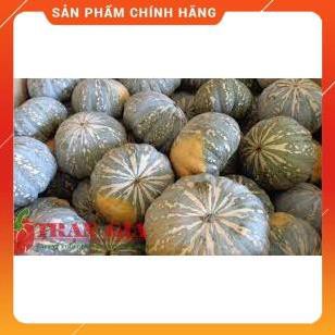 VNUA - HẠT GIỐNG BÍ NGÔ F1 QUẢ TRÒN GÓI 10 GRAM