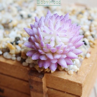 Chậu cây sen đá giả mini trang trí văn phòng
