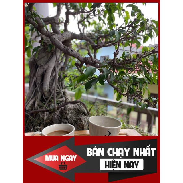 [SP BÁN CHẠY] Bộ phin pha cafe Bát Tràng