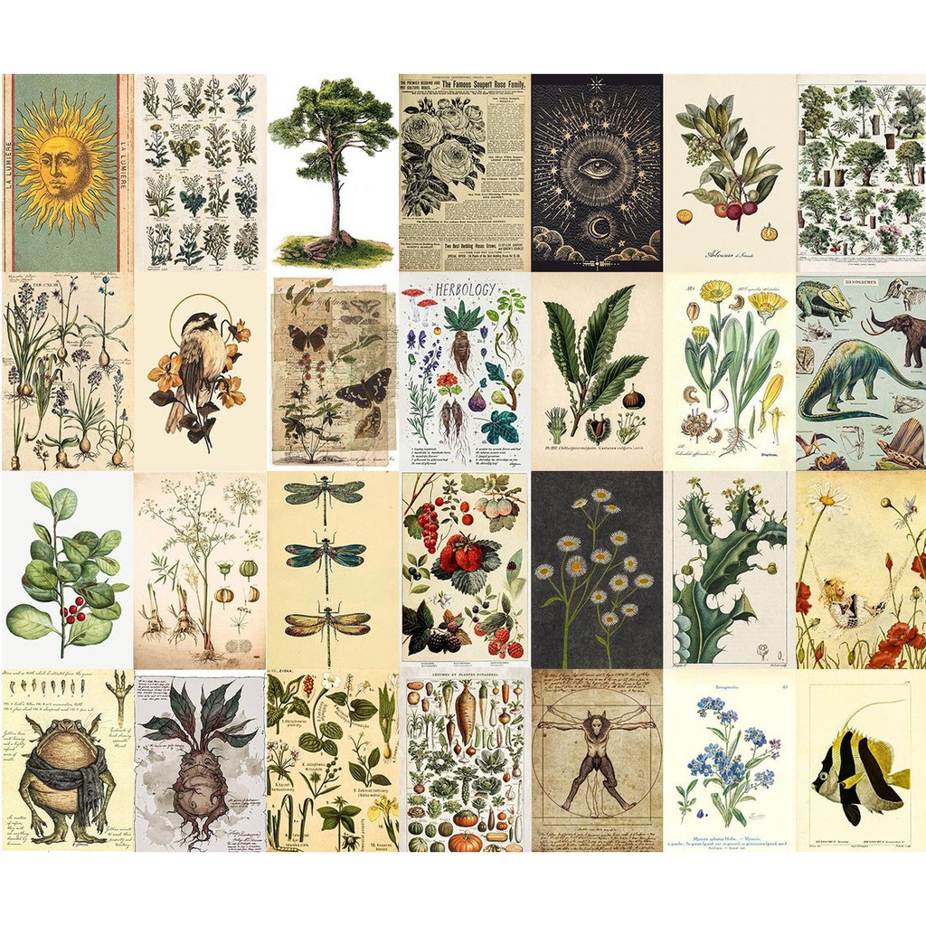 12 tấm Wall Collage keo sẵng dán tường trang trí phòng ngủ - theme Vintage Bonita