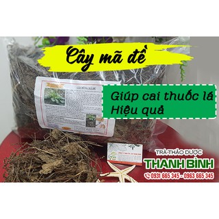 Cây Mã Đề Khô 100Gr - Hàng Công Ty Chất Lượng