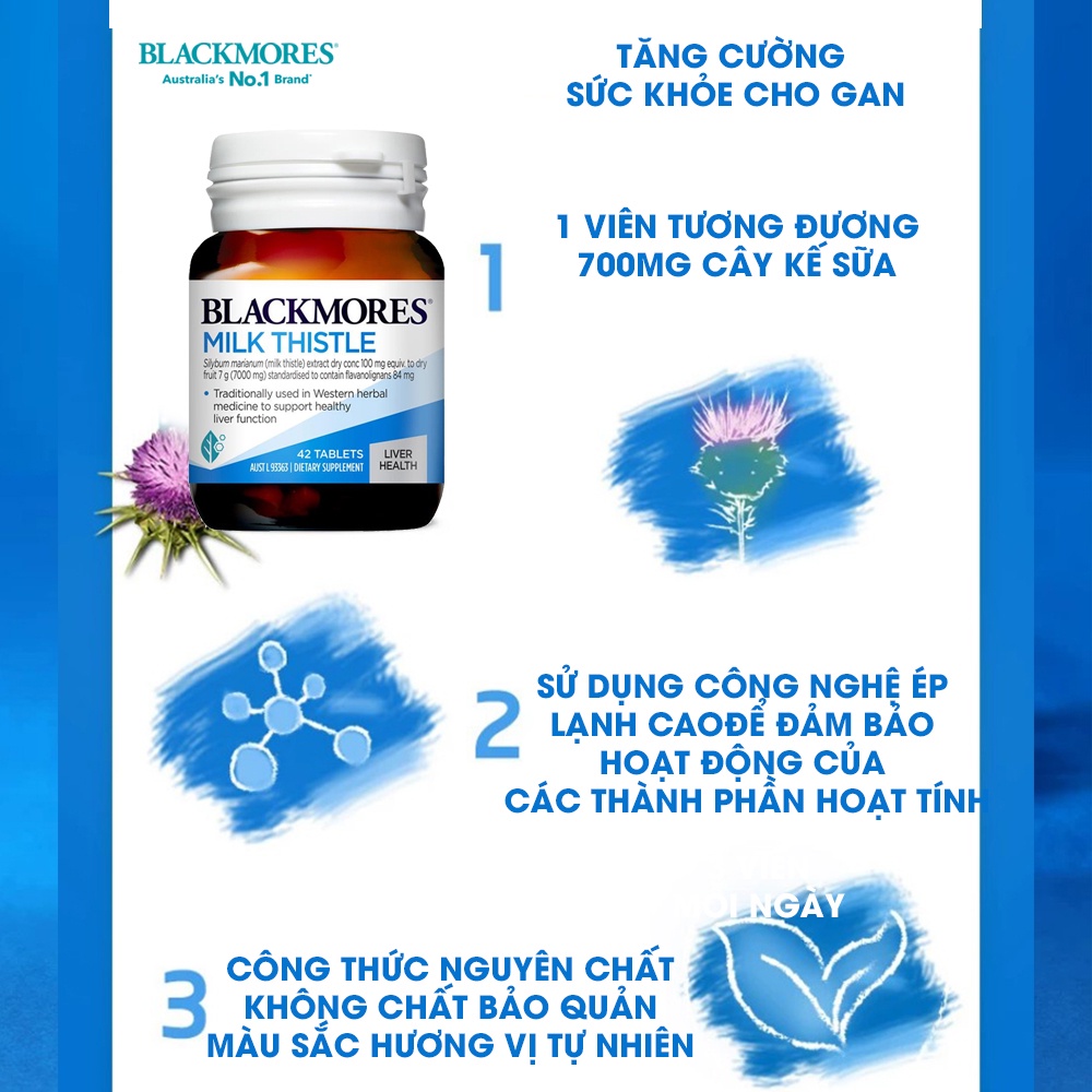 Viên uống bổ gan Milk Thistle Blackmores Úc giải độc tố 42 viên