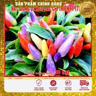 30 Hạt giống Ớt chỉ thiên Ngũ sắc (tặng gói Kích nẩy mầm và Hướng dẫn) VIETSEED