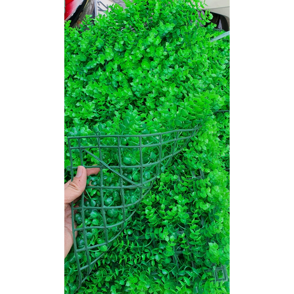 Thảm cỏ treo tường tai chuột, cỏ nhựa nhân tạo trang trí ban công mắt trâu 60cm x 40cm
