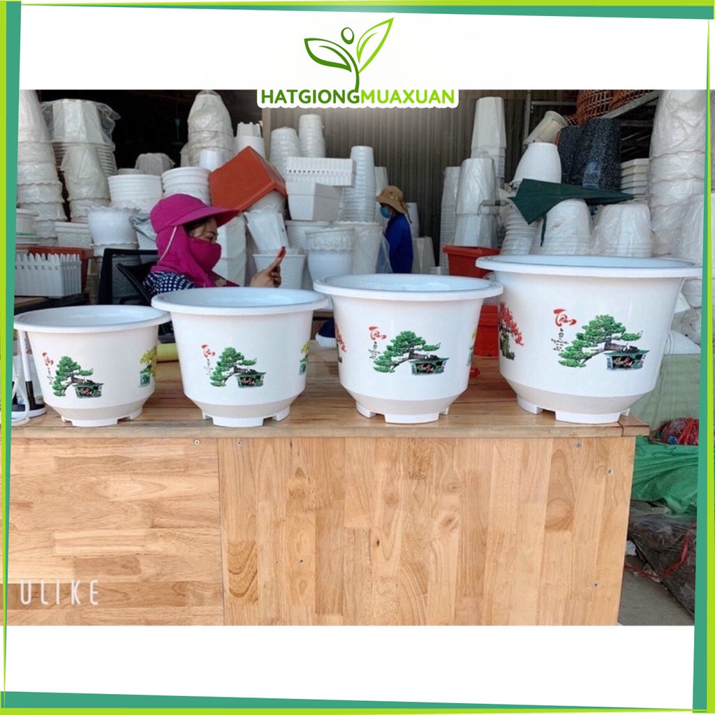 Chậu nhựa in hoa văn 4 mùa các cỡ từ bé đến to loại đẹp