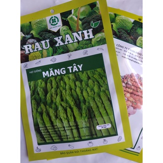 Hạt giống măng tây - gói 20 hạt