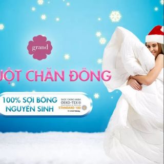 Ruột chăn đông Thanh Bình 2mx2,2m hàng công ty