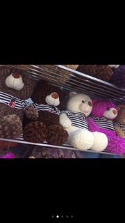 Gấu bông teddy khổ vải 1m2