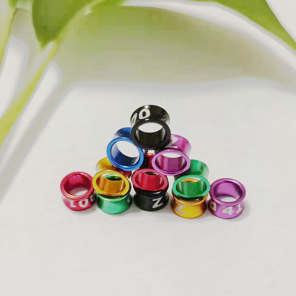 Set 20 Vòng Đeo Chân Luyện Tập Nhận Dạng Chim Kích Thước 3.3mm Đến 8mm