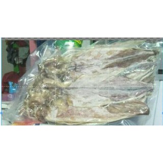 Combo 6 con mực lớn và 6 con mực nhỏ