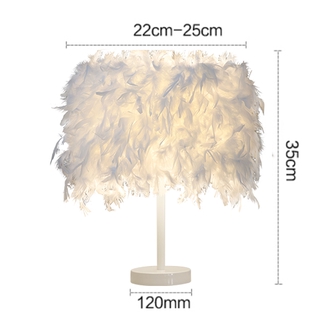 Table lamp / Night light with lovely feathers, 220V, ON / OFF