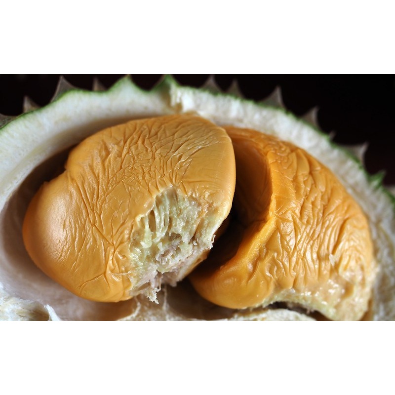 CÂY SẦU RIÊNG BLACK THORN