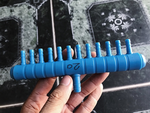 THANH CHIA 12 ĐẦU OXY HỒ CÁ NON BỘ