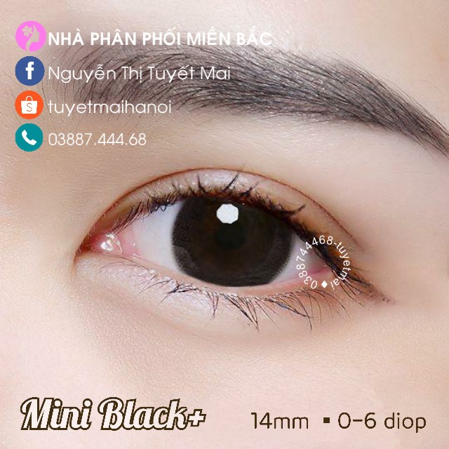 [ Ảnh Thật ] Lens Cận Màu Đen Tự Nhiên Không Giãn Mini Black 14mm - Kính Áp Tròng Hàn Quốc Vassen Sexy Me