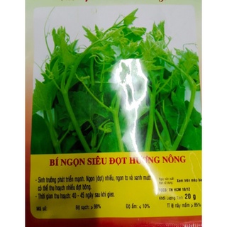 Hạt bí ngọn siêu đọt- gói 20 gramMS970