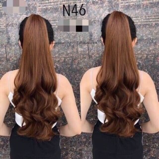 Ngoặm đuôi tóc mã “ N46 “