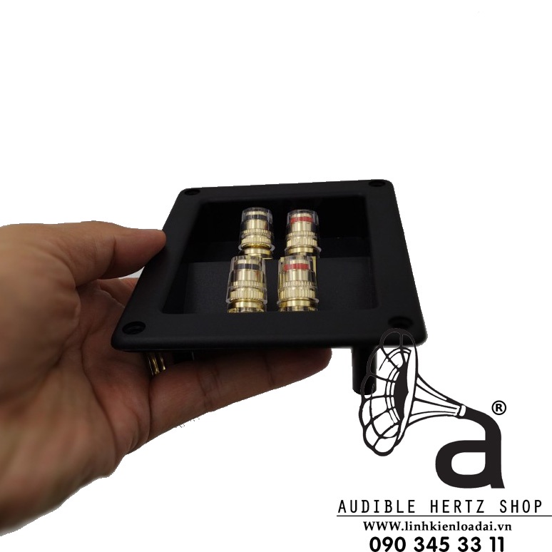 Trạm loa bi-wire, máng loa, hậu loa ráp thùng