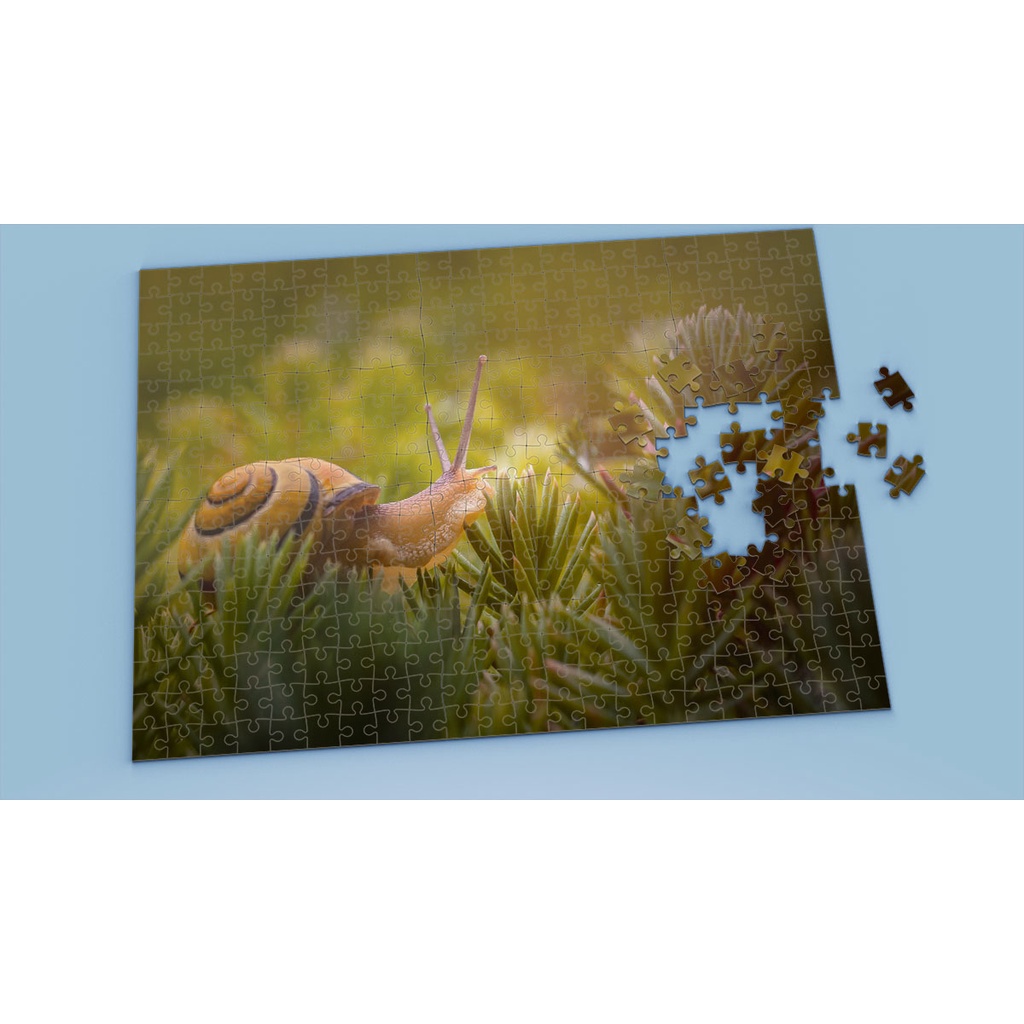 Tranh ghép hình SNAIL - Mẫu 1 - Nhận in theo yêu cầu