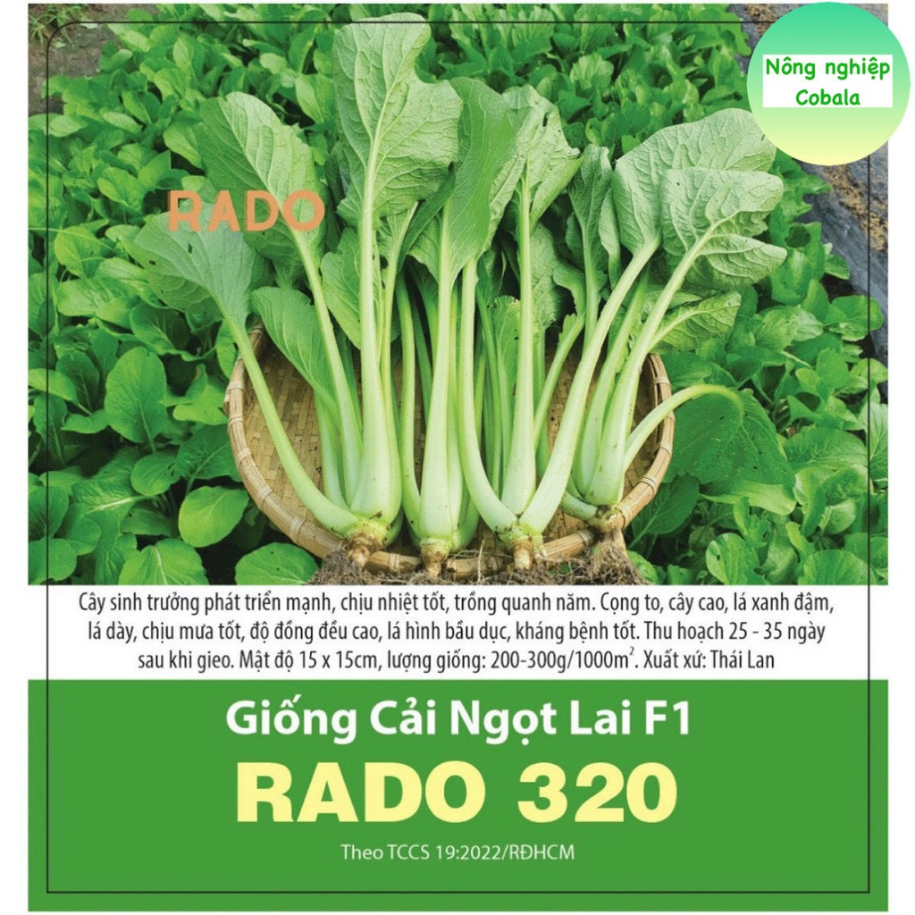 Hạt Giống Cải Ngọt Lai F1 (320) 5gr