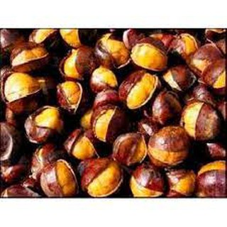 Hạt dẻ sapa loại to ngon đảm bảo chất lượng