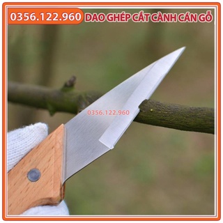 Dao chiết ghép cành cán gỗ