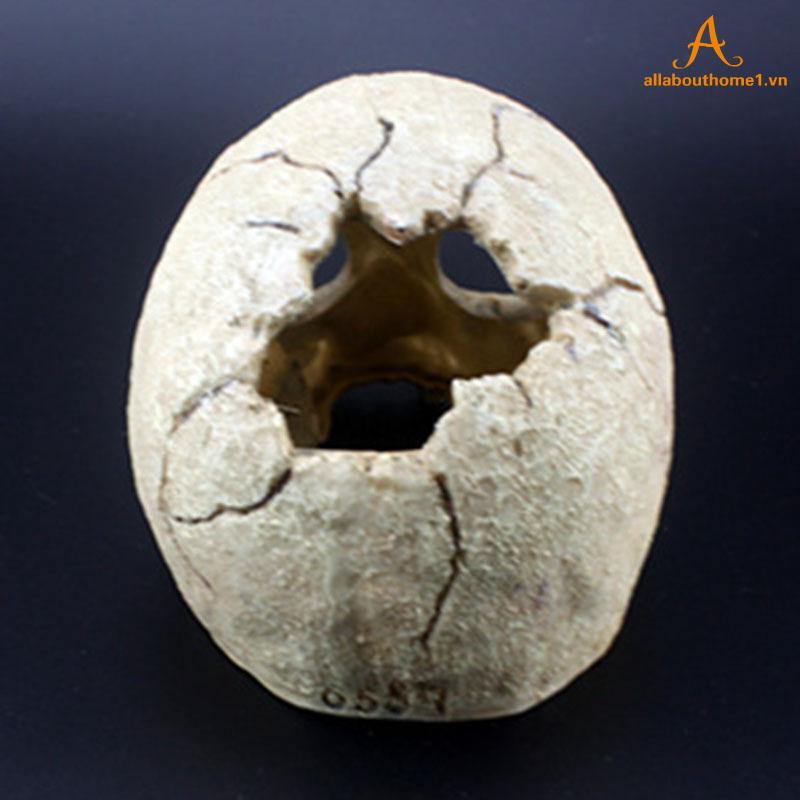 Mô hình đầu lâu trang trí bể cá