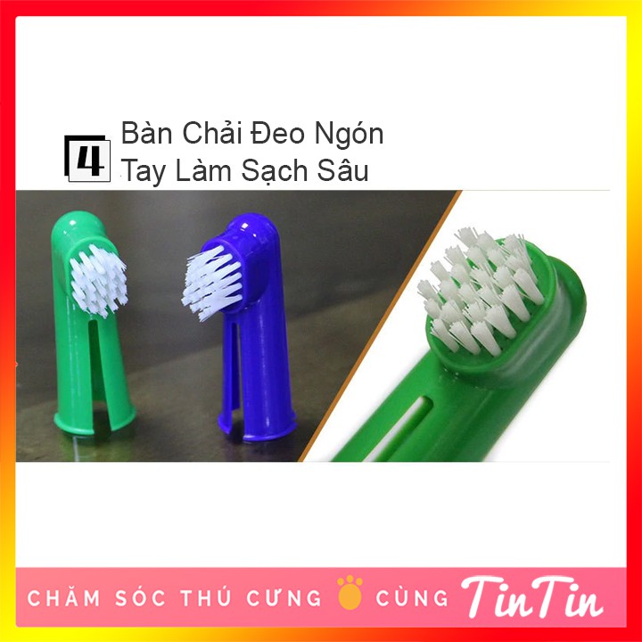 Bộ Kem Đánh Răng Kèm Bàn Chải Cho Chó và Thú Cưng Tuýp 100g #Tintin Pet Store