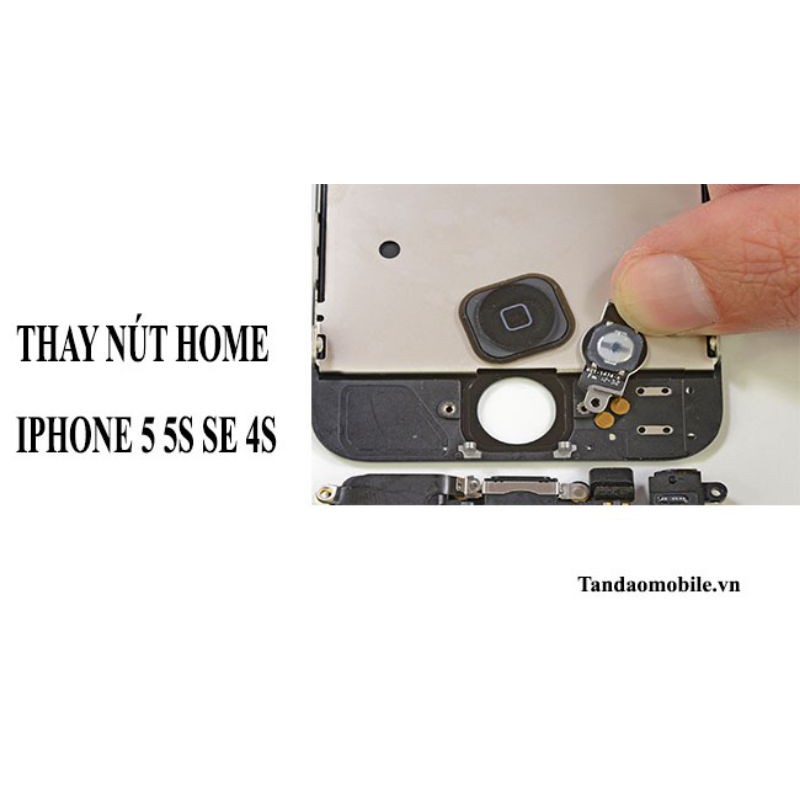 Nút home iphone 5 / 5S /5SE  Giá rẻ/ Bán xả thu hồi vốn