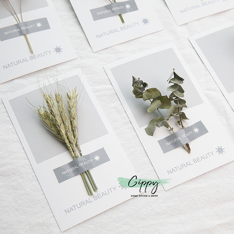 Tấm thiệp, postcard trang trí gắn hoa khô, lá khô - Gippy Decor