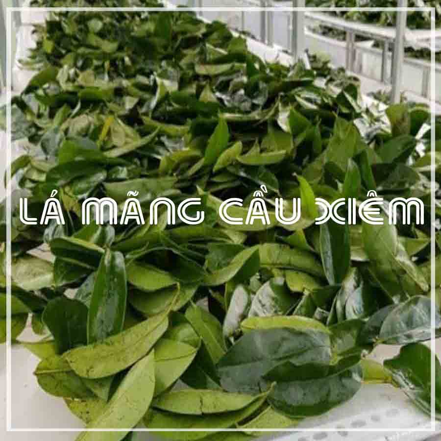 Thảo dược LÁ MÃNG CẦU XIÊM khô sạch đóng gói 500gram - congtyduoclieuhonglan