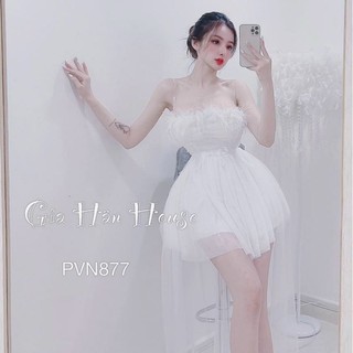 ĐẦM PHỒNG ĐUÔI RỜI PHỐI LÔNG VŨ