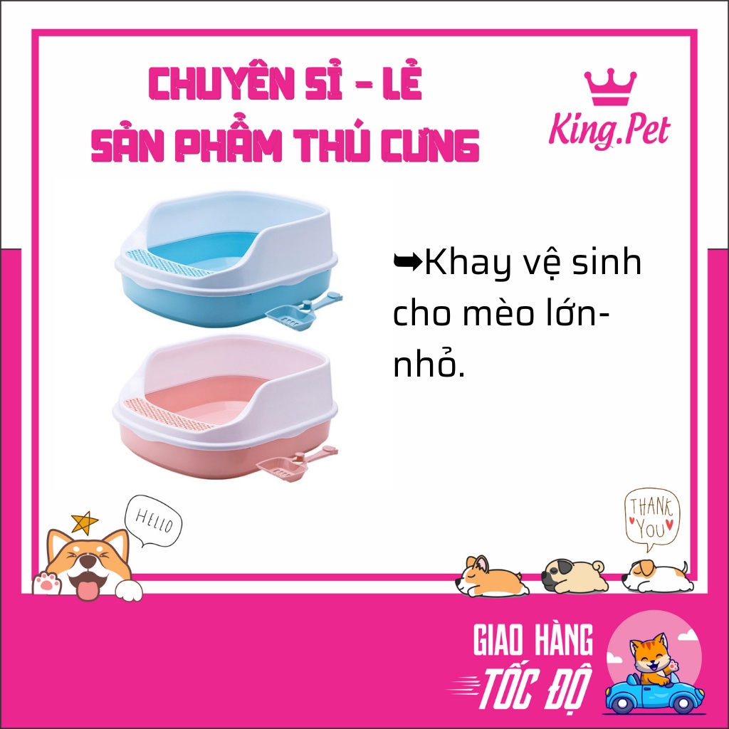 Khay chậu vệ sinh cỡ size lớn, thành cao 20cm cho mèo, tặng kèm xẻng