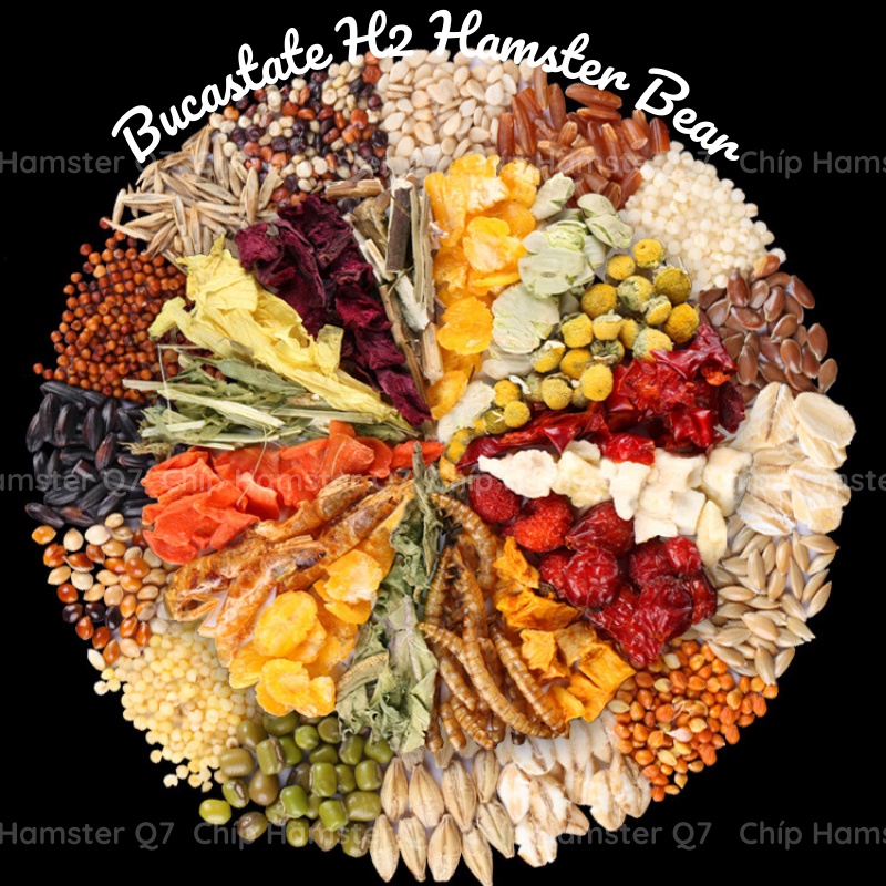 Thức ăn Hamster Bucatstate H2