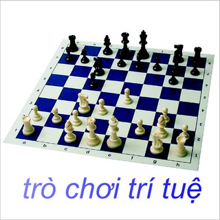 Bộ cờ vua giải trí _ Trò chơi trí tuệ
