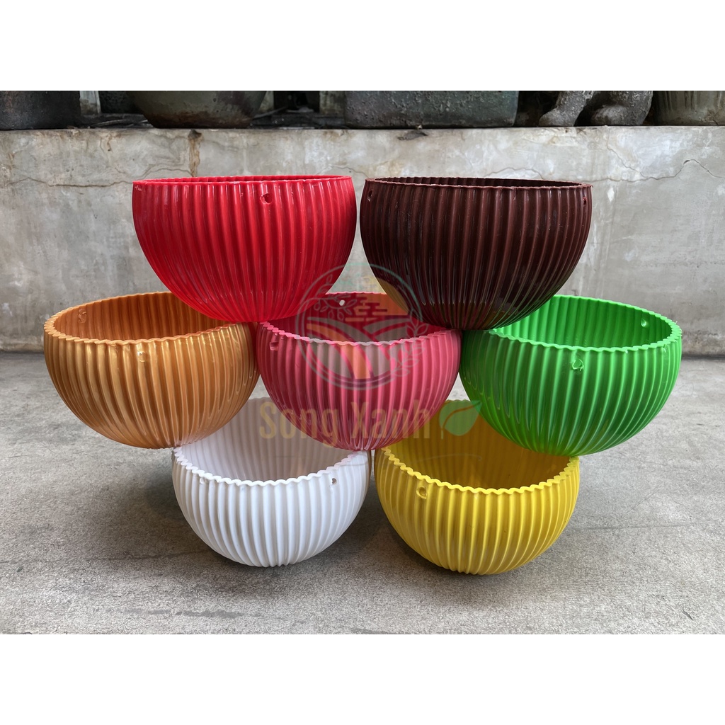 Combo 7 Chậu Nhựa Trồng Cây Họa Tiết Vân Sọc .