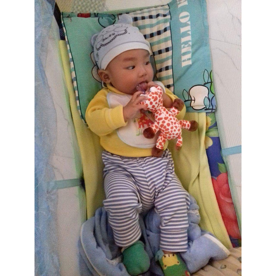 Thú bông hươu cao cổ gắn vào ti giả cho bé Tommy Baby