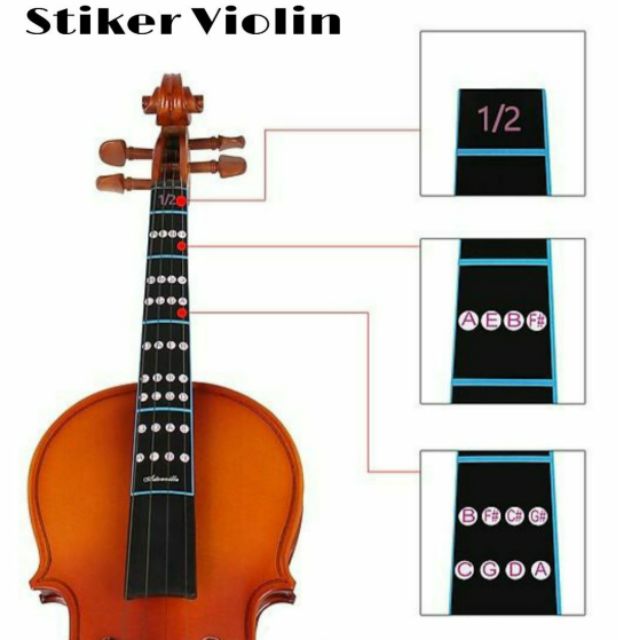 Dán nốt Violin 4/4