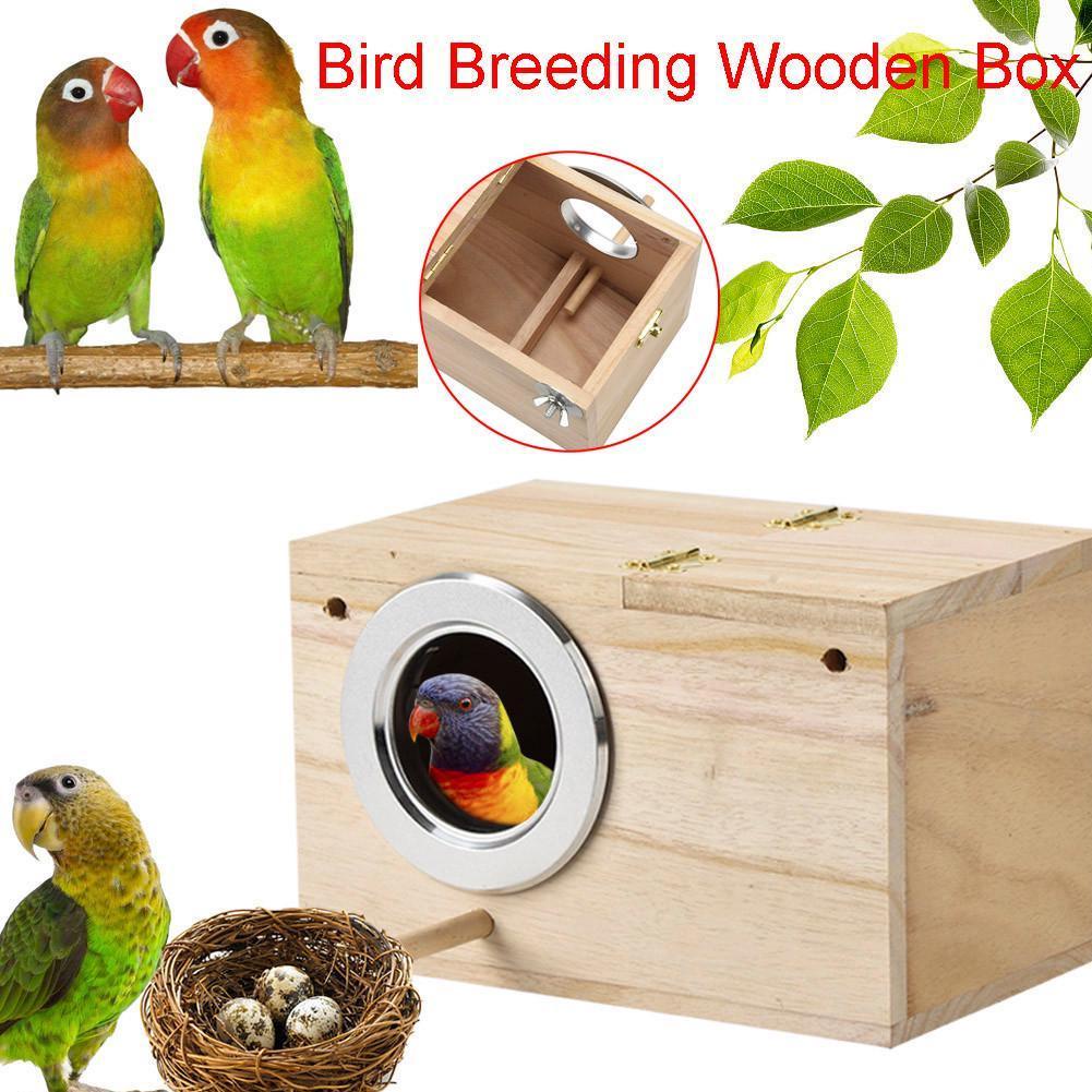 Tổ chim vẹt hình ngôi nhà R2C3