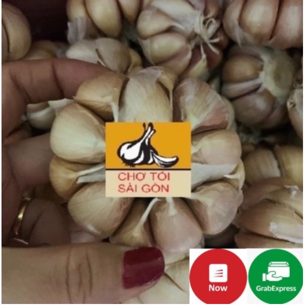 [TỎI CỦ TO ĐẸP- HÌNH THẬT] Tỏi củ 500g -1kg