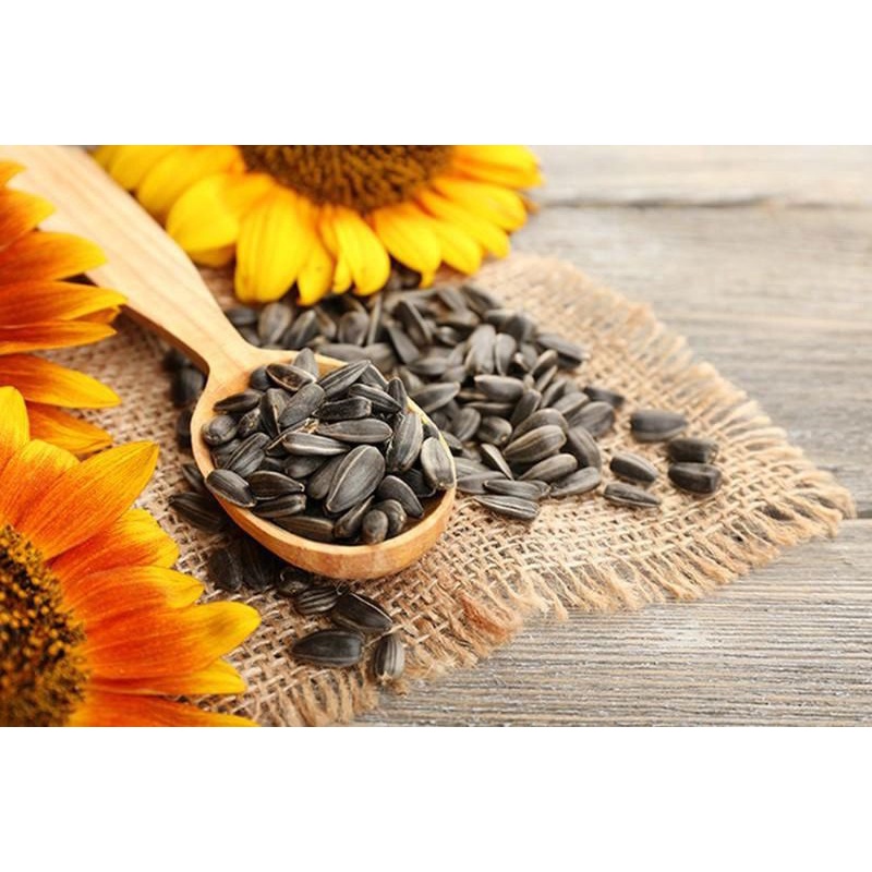 Vitamin E 400 USA hướng dương