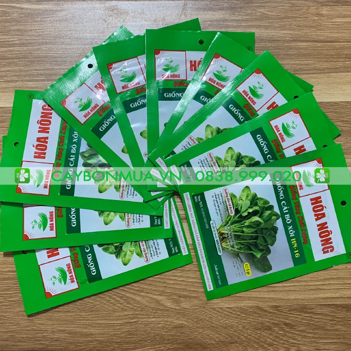 Hạt Giống Cải Bó Xôi 5gr - [&gt;95% Nảy Mầm]  - Giống Vàng Chất Lượng